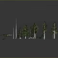 Various Green Plants and Trees Collection with Natural Stones