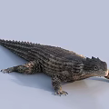 Realistic Reptile Lizard With Rough Textured Scales And Spiked Dorsal Features