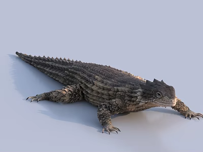 Realistic Reptile Lizard With Rough Textured Scales And Spiked Dorsal Features 3d model