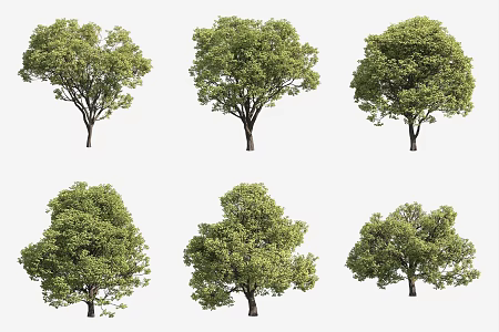 Southern European Pu Shu Landscape Tree 3d model