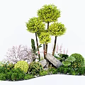 Garden Plant Combination with Green Trees Pink Flower Shrubs Rocks Small Green Plants Various Heights
