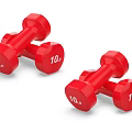 Pair of Red 10 lbs Dumbbells For Home Gym Fitness Training Equipment