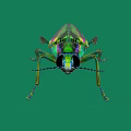 Vibrant Iridescent Beetle With Metallic Green Purple Hues On Green Background
