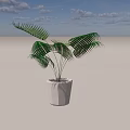 Bonsai Potted Plant with Green Palm like Leaves in White Minimalist Pot for Indoor Decoration