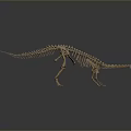 Prehistoric Dinosaur Skeleton Fossil Model Display With Detailed Bone Structure 3d model