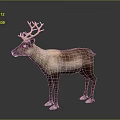 Reindeer With Large Antlers And Brown White Fur Standing On Gray Background