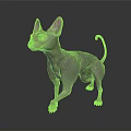 Sphynx Cat With Hairless Pink Skin Red Eyes Standing On Shiny Dark Floor