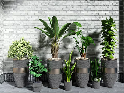 Modern Potted Plant 3d model Modern Potted Plant 3d model