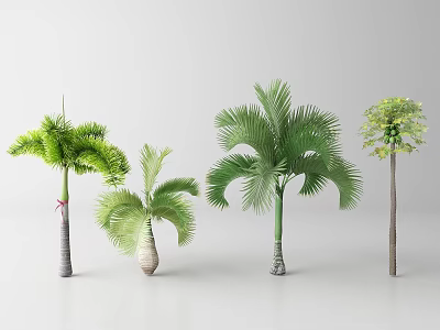 Various Types of Tropical Trees with Diverse Fronds and Trunk Structures 3d model