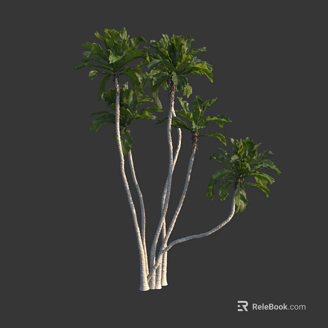 Elegant Tall Tropical Trees With Slender Trunks And Lush Green Foliage 3d model 