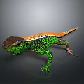 Vibrant Green Orange And Brown Reptile Lizard With Detailed Scales On Gray Background