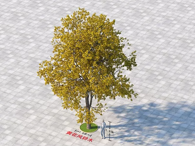 Golden Leaf Arbor with Gray Square Pavement and Person Standing Nearby 3d model