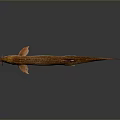 Realistic Freshwater Aquatic Fish With Whiskers Orange Brown Body And Slender Fins