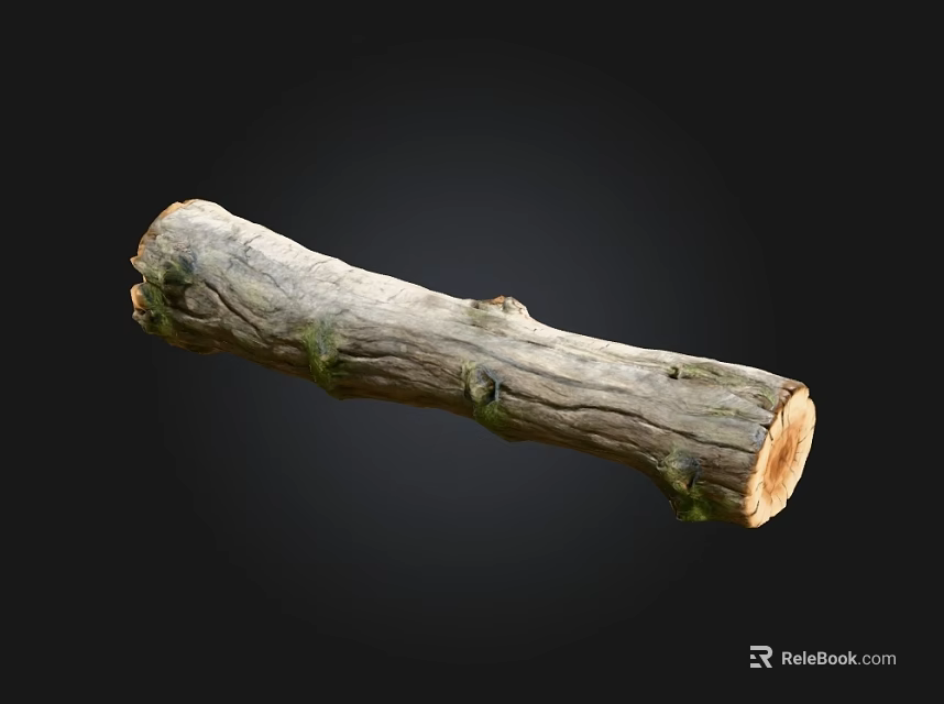 Natural Stone and Wood Log Featuring Textured Surface and Knots on Black Background 3d model 