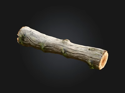 Natural Stone and Wood Log Featuring Textured Surface and Knots on Black Background 3d model