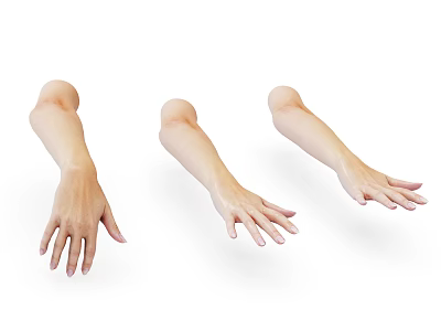 Three Realistic Arm and Hand Models Ornament Decoration Set for Home Decor 3d model
