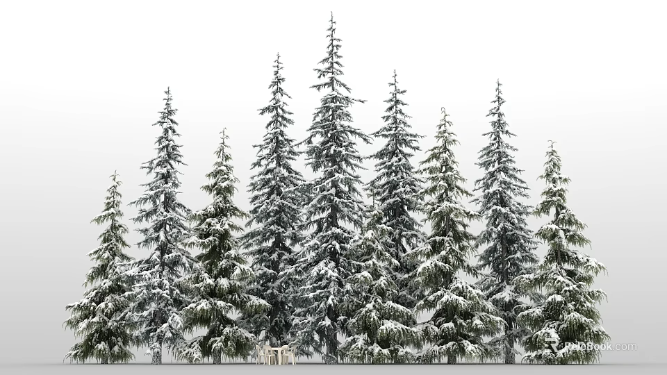 Snow Covered Tall Pine Trees In Scenic Natural Winter Forest Landscape 3d model 