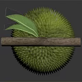 Fresh Durian Fruit With Spiky Green Exterior And Wooden Stem On Dark Background