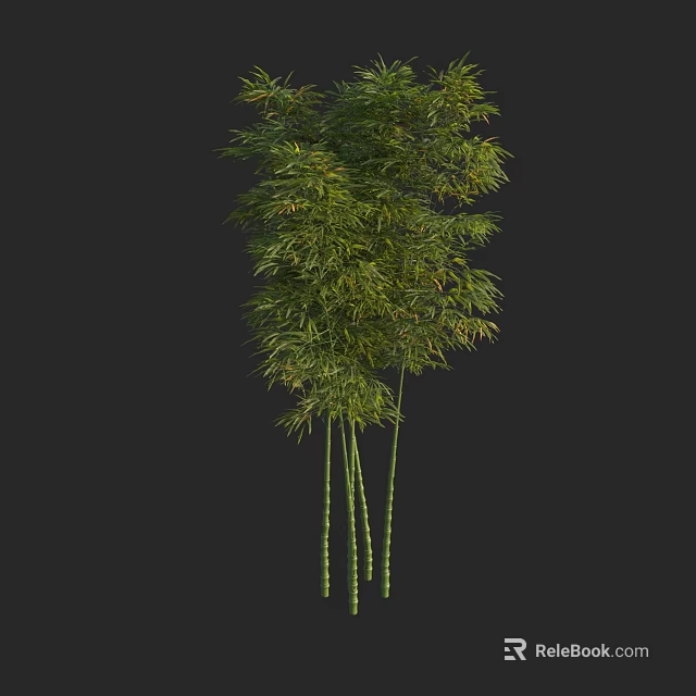 Lush Green Bamboo Plants With Dense Leaves And Slender Culms In Natural Scene 3d model 