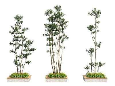 Three Tree Planters With Different Trees And Green Grass In Landscape Design 3d model