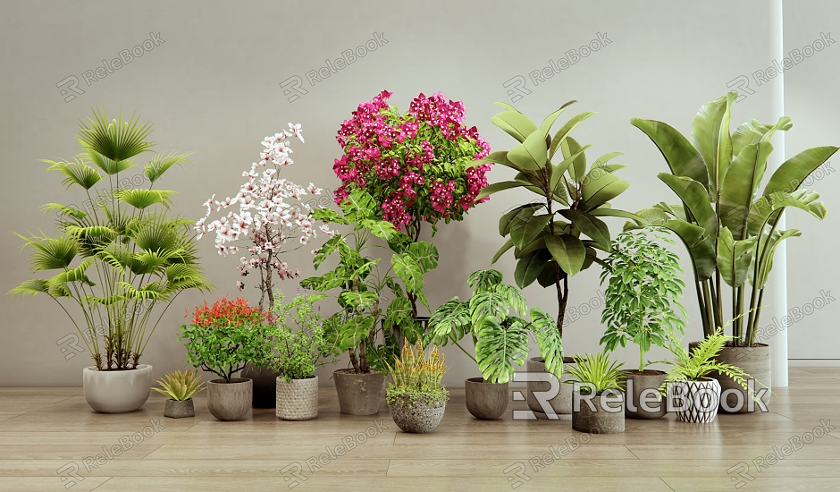 Modern Plants Potted Indoor Plants Green Plant Shrubs Flowers Bougainvillea model