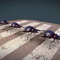 Four Dark Colored Beetles Walking On A Weathered Zebra Crossing Surface 3d model