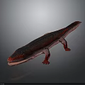 Detailed 3D Model of Red and Black Salamander Featuring Open Mouth and Lizard-like Body