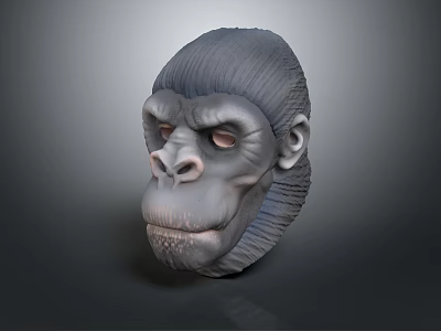 Highly Detailed Gray Ape Head 3D Model With Realistic Facial Features 3d model