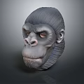 Highly Detailed Gray Ape Head 3D Model With Realistic Facial Features