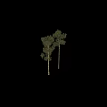 Tall Arbor Tree with Straight Trunk and Lush Green Foliage in Natural Setting