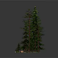 Enchanting Cartoon Scene With Tall Pine Trees Colorful Flowers And Mushrooms In Green Forest