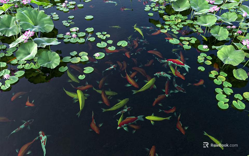 Vibrant Koi Fish Swimming in Pond with Green Lotus Leaves and Pink Flowers 3d model 