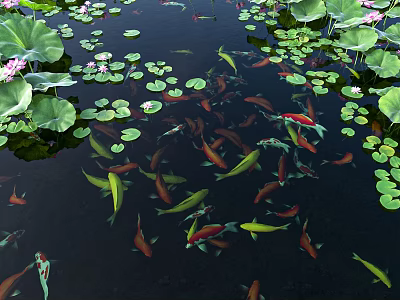 Vibrant Koi Fish Swimming in Pond with Green Lotus Leaves and Pink Flowers 3d model