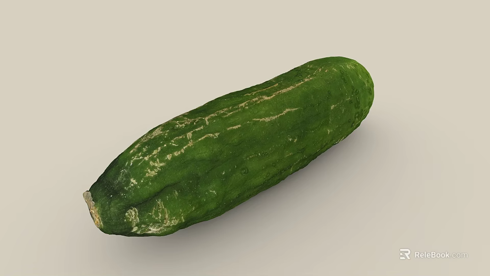 Fresh Green Long Striped Cucumber with Natural Texture as Healthy Vegetable for Daily Diet 3d model 
