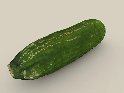Fresh Green Long Striped Cucumber with Natural Texture as Healthy Vegetable for Daily Diet 3d model