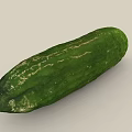 Fresh Green Long Striped Cucumber with Natural Texture as Healthy Vegetable for Daily Diet