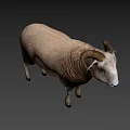 Realistic Game Movie Character Sheep With Curved Horns And Brown Wool