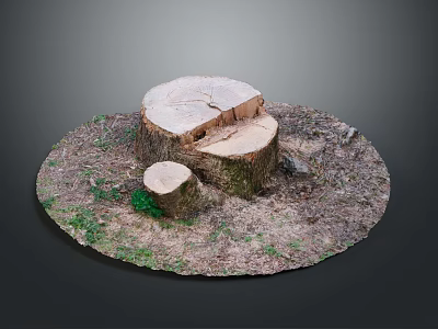 Dead Wood Dead Wood Dry Wood Dry Wood Branch Trunk Cartoon Trunk Dead Branch Tree Root Dead Tree Root Dead Tree 3d model