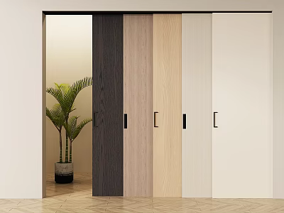 Modern Interior Sliding Doors In Dark Light Beige White With Potted Plant And Wooden Floor 3d model