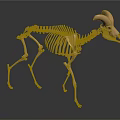 Modern Skeleton Sheep Skeleton Animal Skeleton 3d model