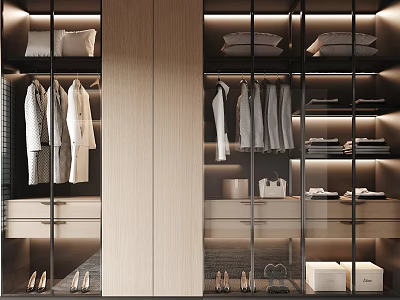Modern Wardrobe Interior with Glass Doors Hanging Clothes Folded Clothes Shoes and Lighting 3d model