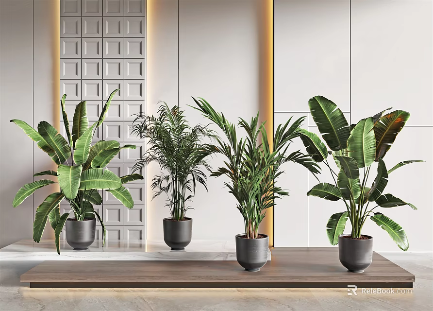 Large Leafy Potted Plants Arranged On Wooden Shelf With Modern Grid Wall Decor 3d model 