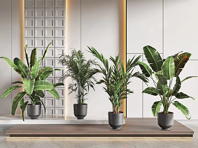 Large Leafy Potted Plants Arranged On Wooden Shelf With Modern Grid Wall Decor 3d model