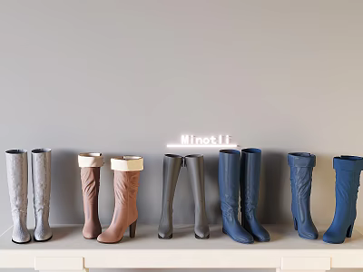 Various Colored Stylish High Heeled Boots Neatly Arranged On White Shelf 3d model
