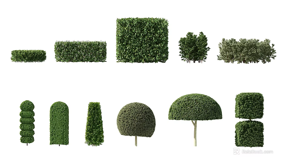 Pruned Shrubs With Various Shapes For Garden Landscaping And Decor 3d model 