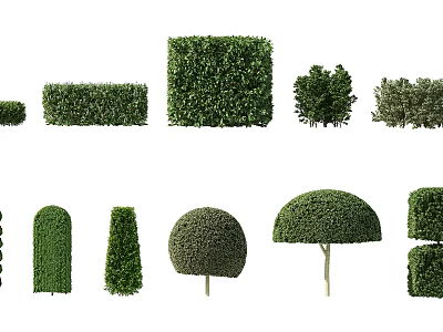 Pruned Shrubs With Various Shapes For Garden Landscaping And Decor 3d model