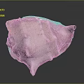 Shiny Pink Organ Structure With Natural Hair Texture And Spiky Surface