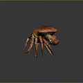 Red Orange Crab with Shiny Shell and Spiny Legs in Standing Pose on Dark Background