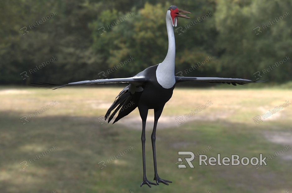 Fleshy cranes spit out ribbon cranes model