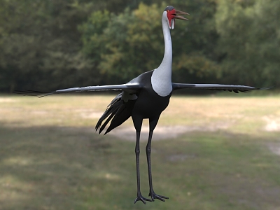 Fleshy cranes spit out ribbon cranes model